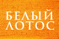 Белый лотос